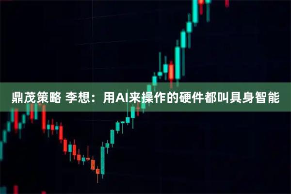 鼎茂策略 李想：用AI来操作的硬件都叫具身智能