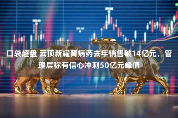 口袋超盘 云顶新耀肾病药去年销售破14亿元，管理层称有信心冲刺50亿元峰值