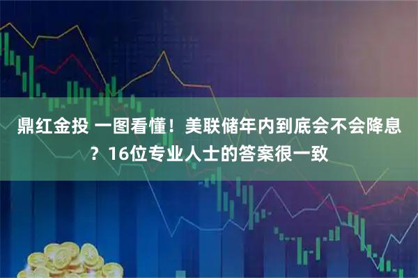 鼎红金投 一图看懂！美联储年内到底会不会降息？16位专业人士的答案很一致