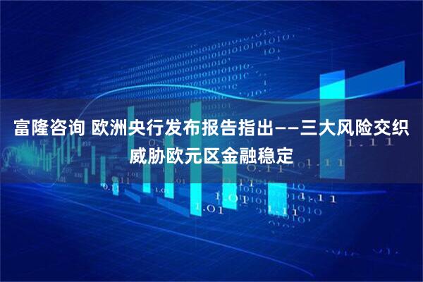 富隆咨询 欧洲央行发布报告指出——三大风险交织威胁欧元区金融稳定
