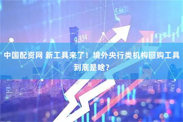 中国配资网 新工具来了！境外央行类机构回购工具到底是啥？