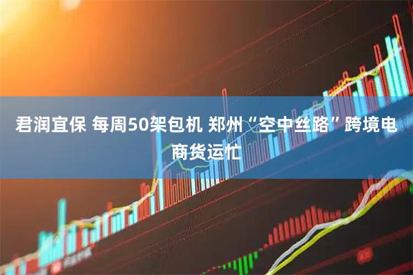 君润宜保 每周50架包机 郑州“空中丝路”跨境电商货运忙